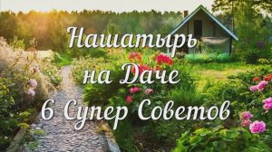 Нашатырь на Даче. 6 Супер Советов Применения Нашатыря (аммиака) в Огороде и на Даче!