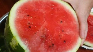 Арбузика?!🍉😋