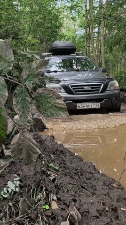 Летние деньки