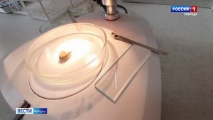 ВЕСТИ КРЫМ: выпуск 22.07.2025 11:30