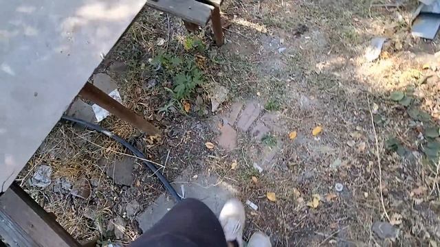 ВЫКОПАЛИ ЯМУ/ЗАЛОЖИЛИ ТРУБУ/РАЗВОДИМ ФОРЕЛЬ) смотреть онлайн