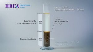 Компания ИВЕА. Timelapse осаждения активного ила