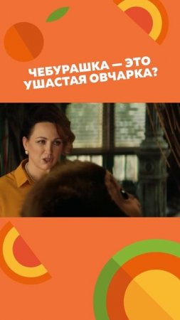 Где такую ушастую овчарку можно купить? 🤔

Кто знает — напишите 👇
#союзмультфильм #чебурашка
