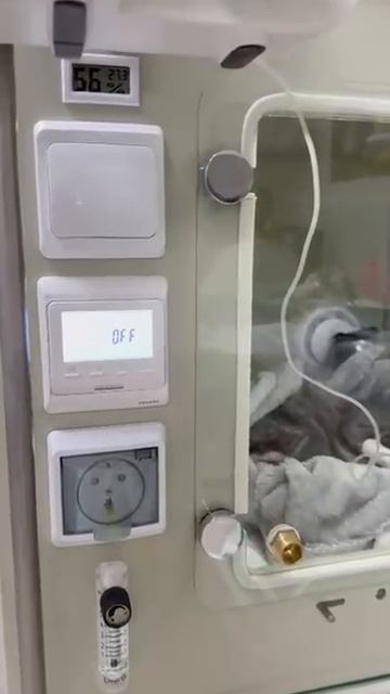 Модуль для ветеринарного стационара в Академии ИВЦ