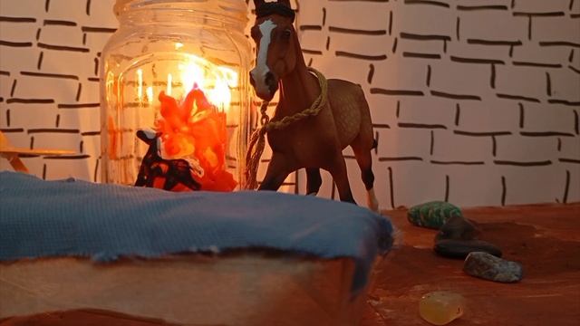 видео для конкурса смотреть онлайн