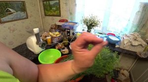 Мой способ заготовки укропа