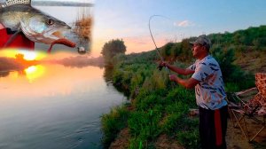 Baliq ovlashma Mayofka Dam olishma fishing 1-qism 2025 yil