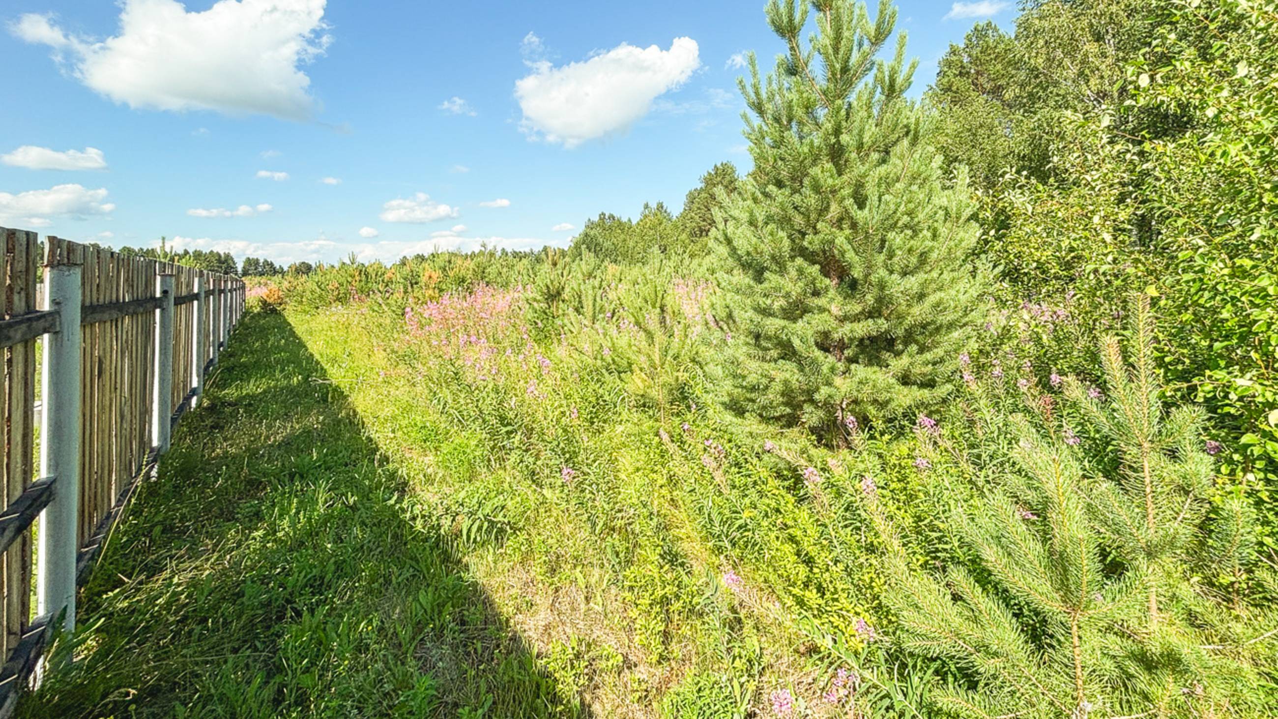 Видео-обзор участка Шелеховский р-н 15,8 сот смотреть онлайн