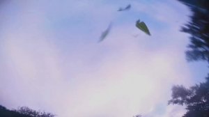 FPV flights + a small time-lapse🔥