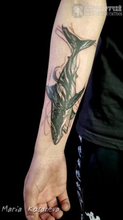 • Акула для Севы