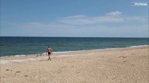 Нашествие медуз на пляже в Крыму! Керчь, село Курортное сегодня 22 июля 2025. Погода в Крыму сейчас.