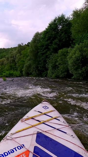 Река Осётр перекат в Ильясово на SUP доске смотреть онлайн