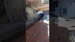 WhatsApp Video 2025-07-22 at 11.25.21