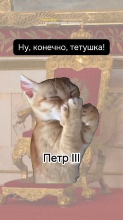 Российская история с котиками