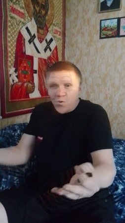 Анекдот 456