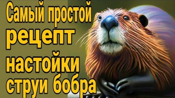 🔥Самый простой рецепт настойки струи бобра! От каких болезней, что лечит, применение. смотреть онлайн