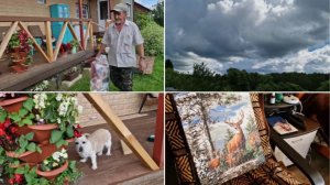 СВАРИЛА ХОЛОДЕЦ. КОПНУЛА И ПОСМОТРЕЛА ЧТО ЗА ЧЕСНОК ВЫРОС.