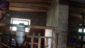 Какие же они все хорошенькие !