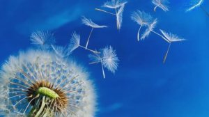 "Посмотри на небо..." Песня, Шинкарева Светлана, "Если ты в пути продрог.."