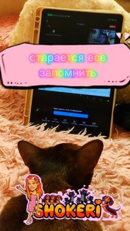 Кто в нашей семье больше всего любит учиться?
