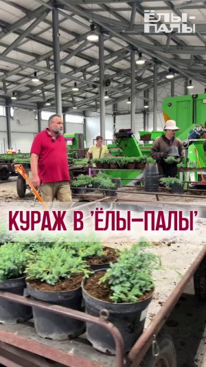 Кураж в ЁЛЫ-ПАЛЫ или что такое принцип параллельности на предприятии!
