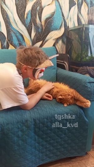 24 июля устраиваю сходку в Питере, кото интересует пишите! #Кошка #весна #TeamWork #Красиво #Красота