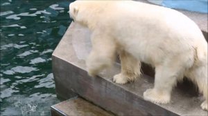Герда столкнула Кая в воду и сама прыгнула 18.07.2025