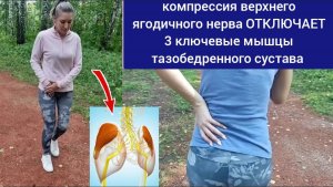 3 ключевые мышцы тазобедренного сустава погибают, когда СТИСКИВАЕТСЯ ягодичный нерв. Упражнения