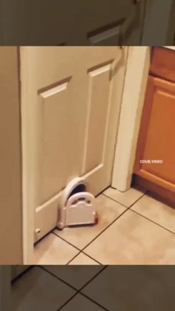 1000255845.mp4