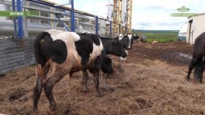 Подводим итоги дня вместе с корреспондентами «Мужи-Информ».