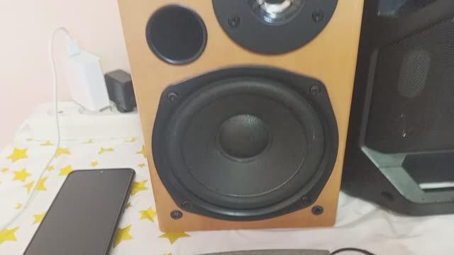 Что внутри Акустика Колонки от музыкального центра SONY , 2*30вт смотреть онлайн