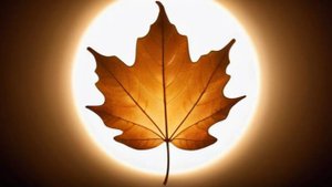 Между вздохом и падением