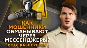 Стас разберется. Массовые сокращения, ГОСТ для школьников, борьба с бездомными животными