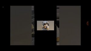 смешные коты до слёз🤣🤣🤣