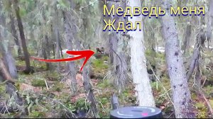 ОХОТА НА РАНЕНОГО МЕДВЕДЯ В ОДИНОЧКУ / ЗВЕРЬ МЕНЯ ЖДАЛ НА ЛЁЖКЕ В ГУСТОМ ЛЕСУ. ПОДОШЁЛ НА 15 МЕТРОВ
