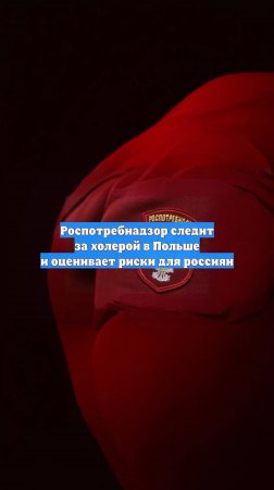 Роспотребнадзор следит за холерой в Польше и оценивает риски для россиян