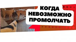То, что никогда не показала бы раньше... #SOS