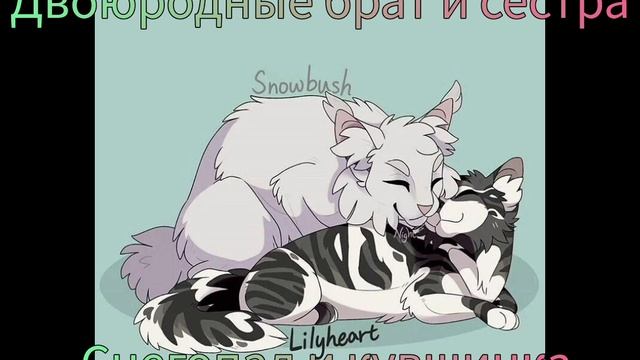 топ странных пар котов воителей