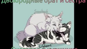 топ странных пар котов воителей