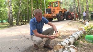 В парке "Победы" спиливают опасные деревья