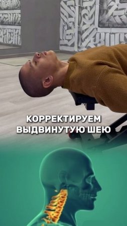 https://t.me/fitstyler_bot?start=vksheya