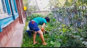 Урожай с огорода...Постирали дорожки..Прополка травы в саду.Жизнь в деревне.