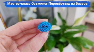 Мастер-класс Осьминог Перевёртыш из Бисера  Осьминог Антистресс