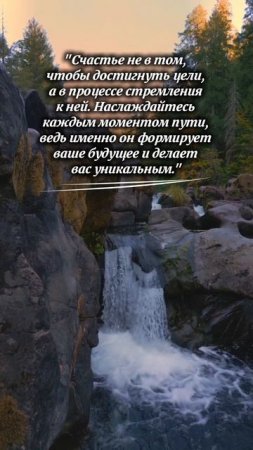 МОТИВАТОР