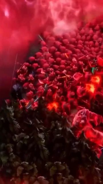 Хорошие RTS в которые стоит поиграть! #игры #лучшиеигры #игра #gaming #игрынапк #вочтопоиграть смотреть онлайн