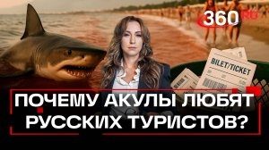 Почему акулы атакуют Турцию и почему российские туристы для них такие вкусные?