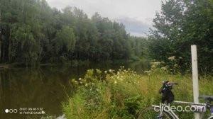 Школа Английского Языка в Пушкино   Качественное образование в России   Велопрогулки