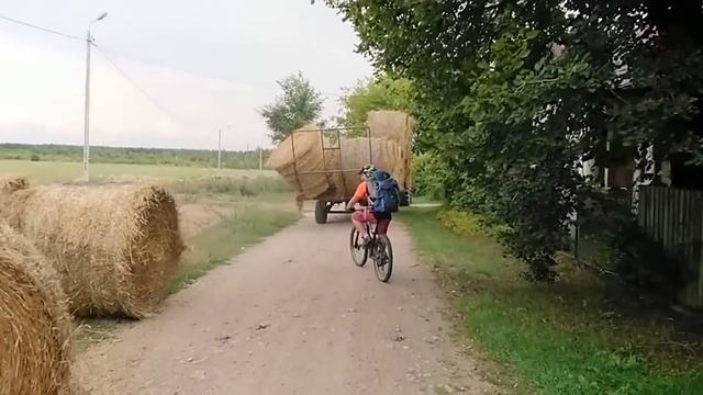 Самые Нелепые Ошибки Рабочих, Снятые на Камеру смотреть онлайн