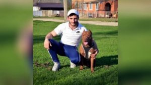 Агопа Питбули Dragon Life довели хейтеры!!!