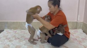 Обезьянки МАЛЫШАТА в очереди к маме за лаской Перед одеванием присыпка Смешная история